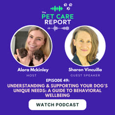 Sharon Vincuilla: Understanding & Supporting Your Dog's Unique Needs: A Guide to Behavioral Wellbeing | E49