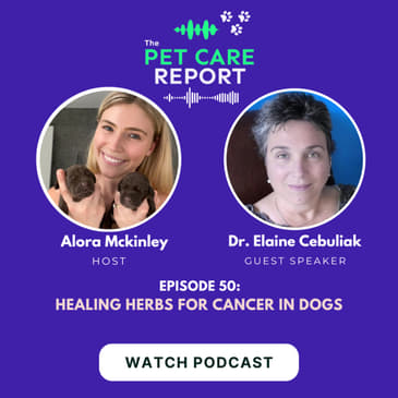Dr. Elaine Cebuliak: Healing Herbs for Cancer in Dogs| E50