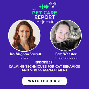 Pam Webster: Calming Techniques for Cat Behavior and Stress Management| EP52