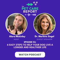 Dr. Marlene Siegel: 6 Easy Steps to Help Your Dog Live a Longer and Healthier Life | E53