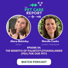 Narelle Cooke: The Benefits of Palmitoylethanolamide (PEA) for Our Pets | E54