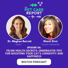 Shanti Zinzi: Feline Health Secrets: Underrated Tips for Boosting Your Cat's Longevity and Happiness | E56