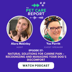 Yaz Porritt: Natural Solutions for Canine Pain – Recognizing and Managing Your Dog’s Discomfort | E57
