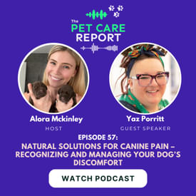 Yaz Porritt: Natural Solutions for Canine Pain – Recognizing and Managing Your Dog’s Discomfort | E57
