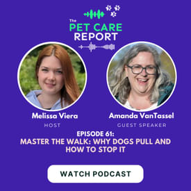 Amanda VanTassel | Master the Walk: Why Dogs Pull and How to Stop It | E61