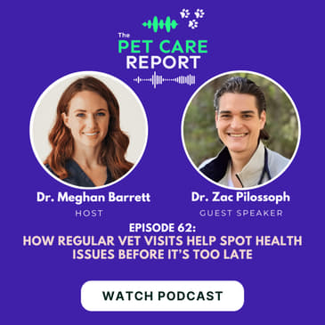 How Regular Vet Visits Help Spot Health Issues Before It’s Too Late | E62