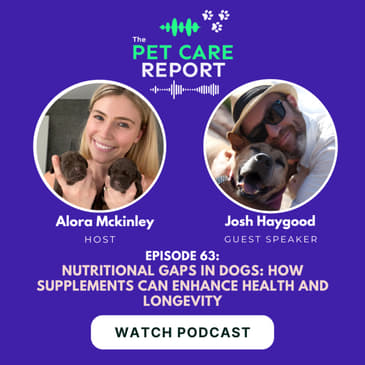 Nutritional Gaps in Dogs: How Supplements Can Enhance Health and Longevity | E63