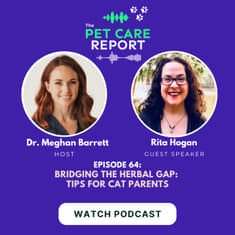 Bridging the Herbal Gap: Tips for Cat Parents | E64