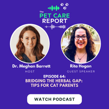 Bridging the Herbal Gap: Tips for Cat Parents | E64