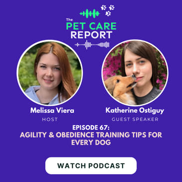 Katherine Ostiguy: Agility and Obedience Training Tips for Every Dog | E67