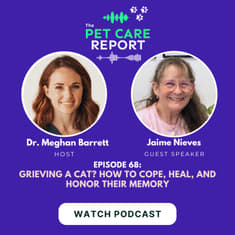 Jaime Nieves: Grieving a Cat? How to Cope, Heal, and Honor Their Memory| E68