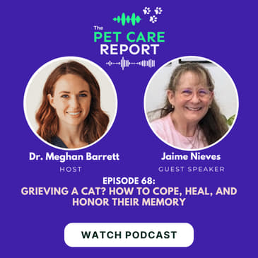 Jaime Nieves: Grieving a Cat? How to Cope, Heal, and Honor Their Memory| E68