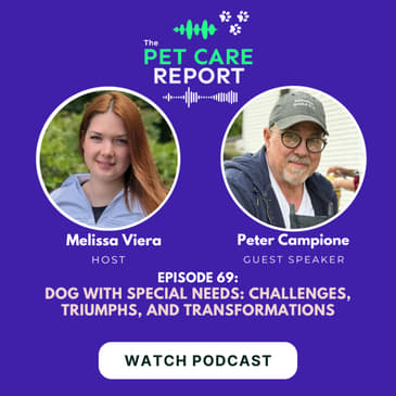 Peter Campione: Dog with Special Needs: Challenges, Triumphs, and Transformations | E69