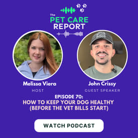 John Crissy: How to Keep Your Dog Healthy (Before the Vet Bills Start) | E70