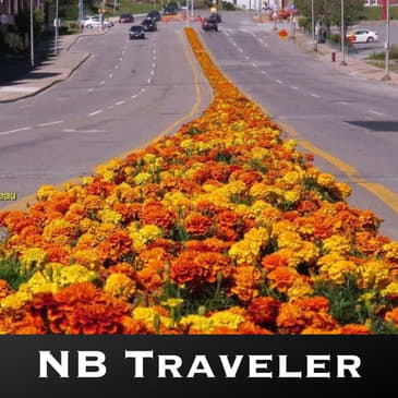 Marigolds and Murals on Main Street in Saint John
