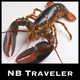 Lobsters in New Brunswick