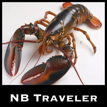 Lobsters in New Brunswick