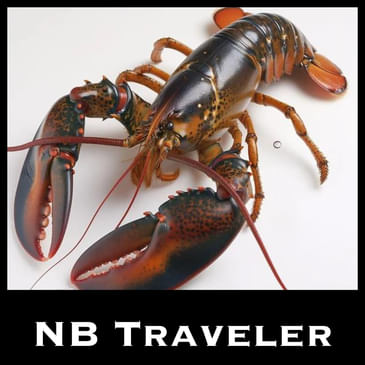 Lobsters in New Brunswick