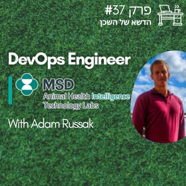 #37 DevOps Engineer - MSD Animal Health Intelligence Tech Labs