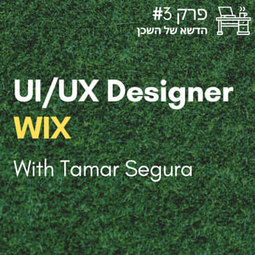 #3 UI/UX Designer - WIX