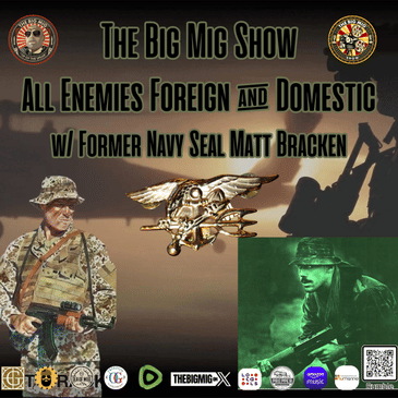 All Enemies, Foreign &amp; Domestic w/ Former Navy Seal Matt Bracken |EP307