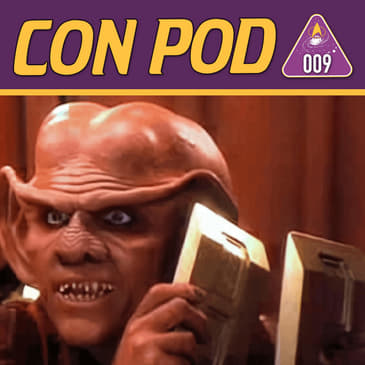 009 - STLV on a Budget