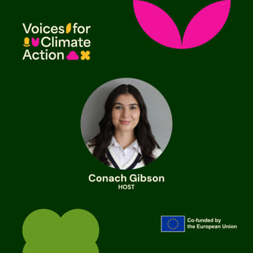 [Learn from nature &amp; ancestral wisdom] Saint Gobnait and the bees: A legacy of protection, healing and climate action