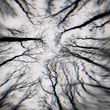 Breathing Outside the Tent: A Backcountry Nightmare