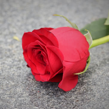 Sharing kami membuat surat wasiat