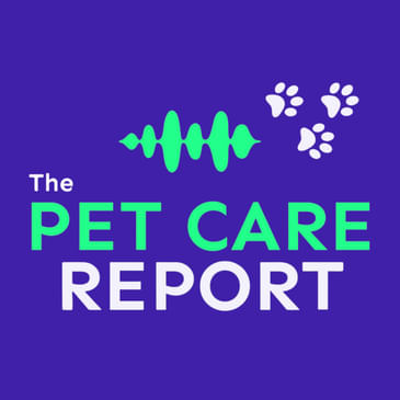 Doc Rob Silver: Best Natural Ways to Help Dogs with Anxiety | EP1