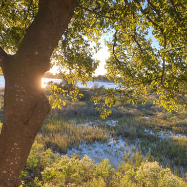 Reluctant Journey With a Faithful God