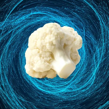 Cauliflower Chicken ft. Dennis from Twitter by Girl Interrupter