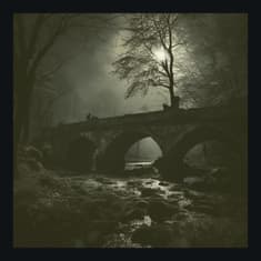 The Haunted Bridge Where Dogs Go to Die