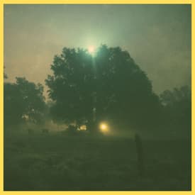 The Terrifying Mysteries of Skinwalker Ranch