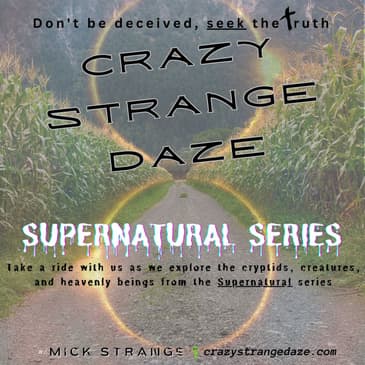 CSD Supernatural EP-5 (The Hookman, Bugs)
