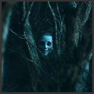 Entities We Can't Explain (Two Short Stories)