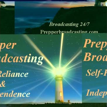 Tactical Dog Training with The Next Generation on PBN