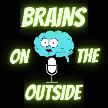 Cataloguing for Dummies by Brains on the Outside