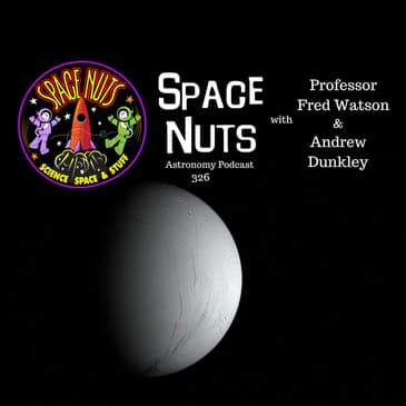 Is Enceladus Harbouring Life?