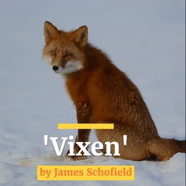 Vixen by Behind the Bottom Line