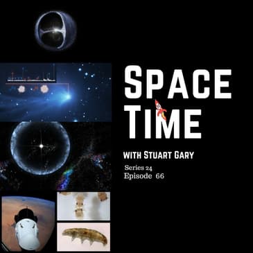 A New Study of the Distant Oort Cloud