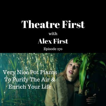 Very Nice Pot Plants To Purify The Air and Enrich Your Life (Theatre Works, Melbourne Australia)