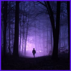 Dead Silence in the Woods: A Terrifying Encounter