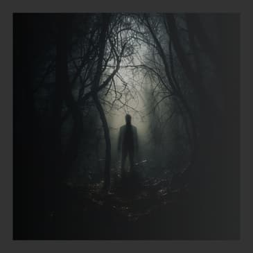 There's Something in the Forest