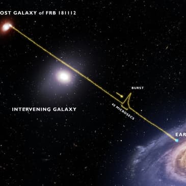 Bonus - New discoveries show galaxies sit in serene halos of gas - Full Interview