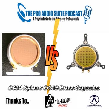 Capsules - Nylon v Brass