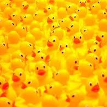 29: Party In China Episode 29