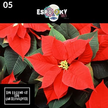 The Legend of the Cuetlaxochitl