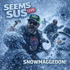 Seems Sus: Snowmeggedon