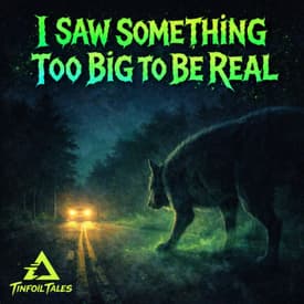 Ep. 244: I Saw Something Too Big To Be Real